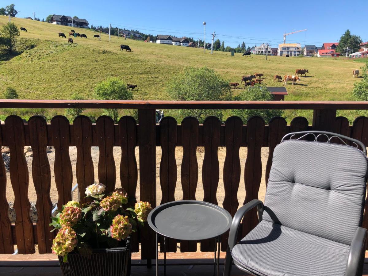Wellness Apartmán Pila Kvilda Kültér fotó